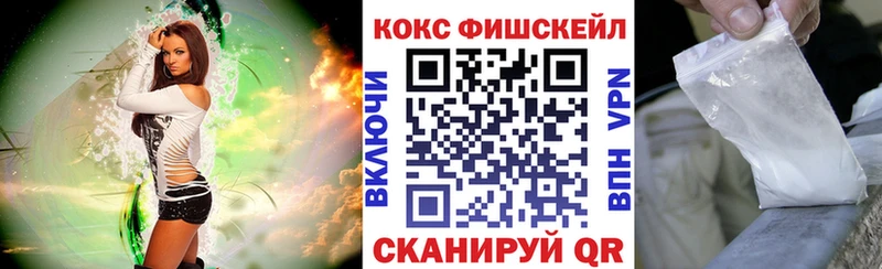 Купить закладки  Заволжье  COCAIN Эквадор 