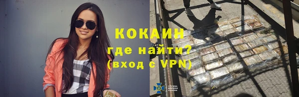 МДПВ Козельск