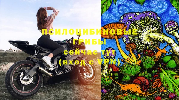 МДПВ Козельск