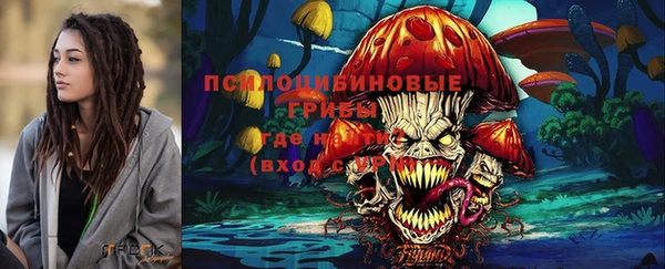 экстази Козловка