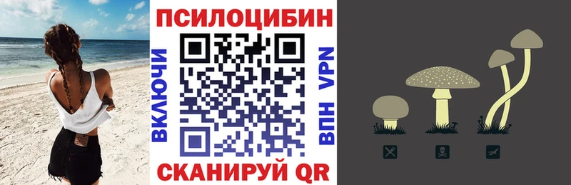 Купить  Заволжье  Галлюциногенные грибы Magic Shrooms 