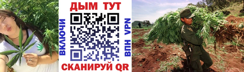 Конопля THC 21% Заволжье